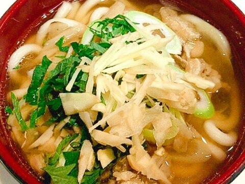 薬味たっぷり☆新生姜うどん